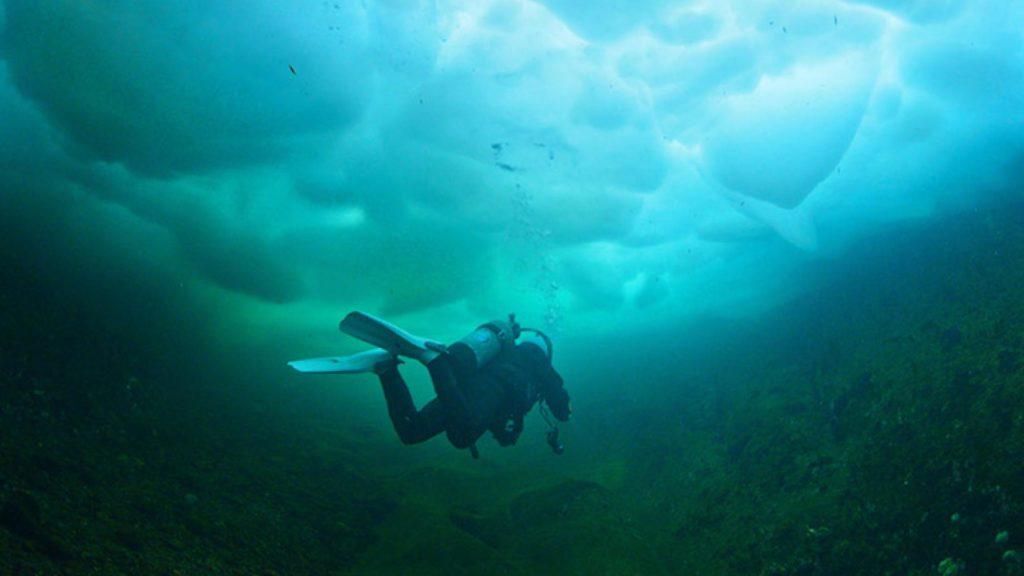 Plongée sous-glace